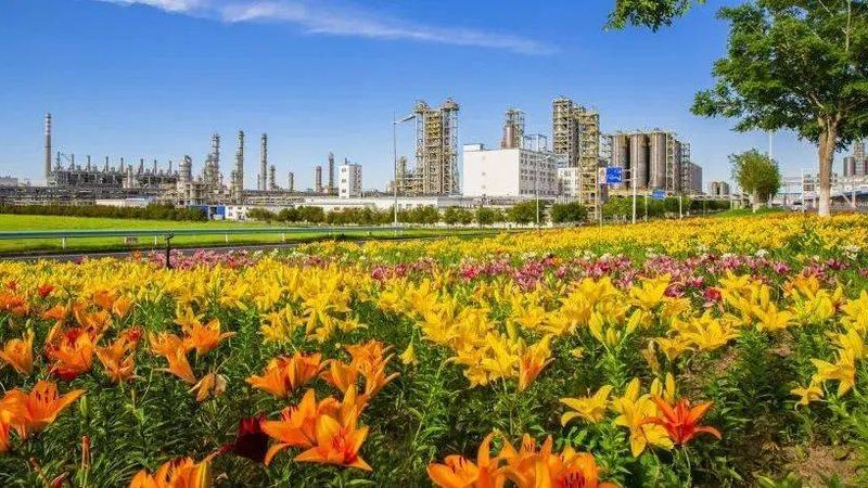 耐沾污外墙涂料树脂：揭秘其性能与选型要点